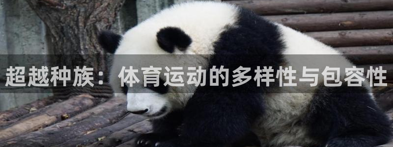 三亿体育登录