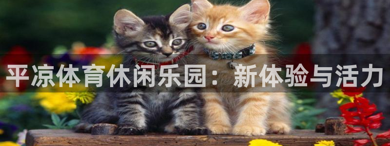 三亿体育登录