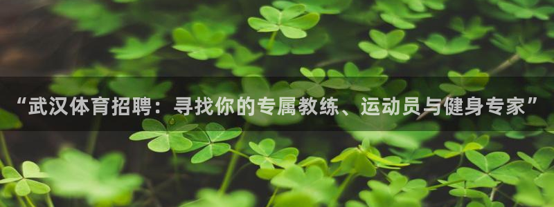 三亿体育网