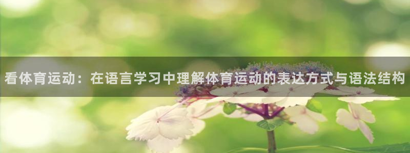 三亿体育