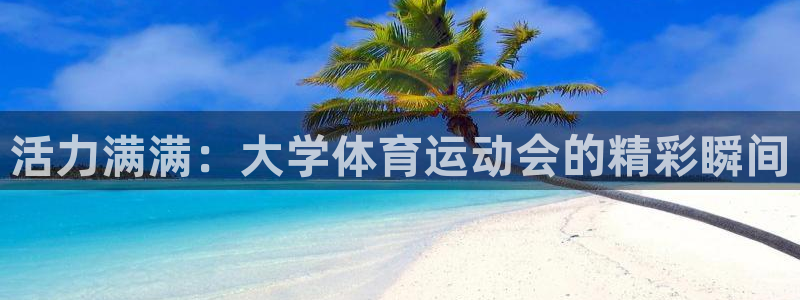 三亿体育登录