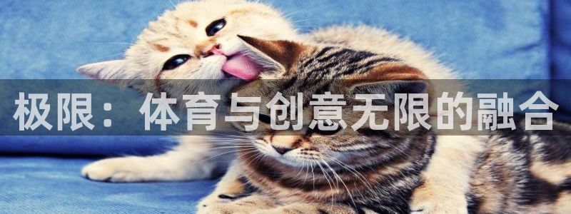 三亿体育网页版