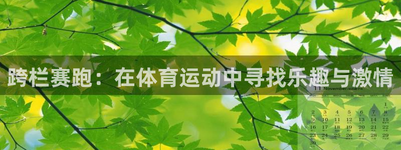 三亿体育
