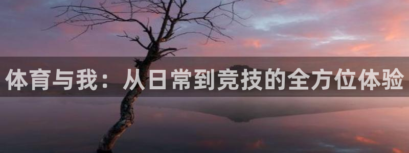 三亿体育网页版