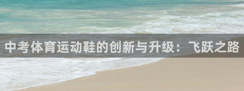 三亿体育网页版