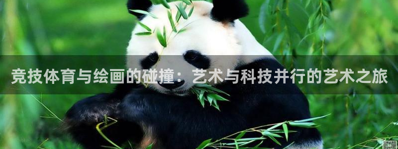 三亿体育