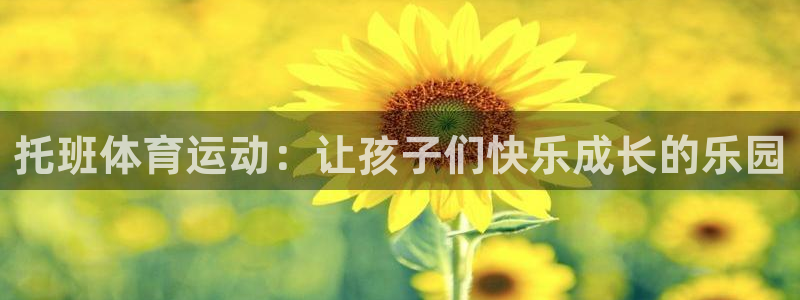 三亿体育网页版