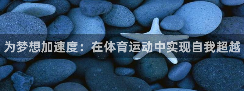 三亿体育登录