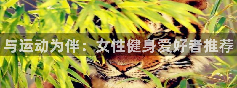 三亿体育网