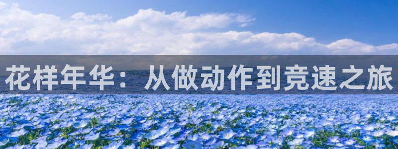 三亿体育网