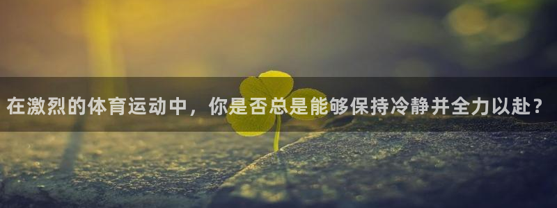 三亿体育网页版