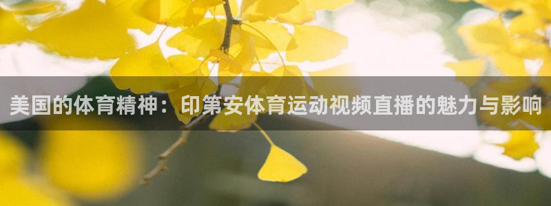 三亿体育