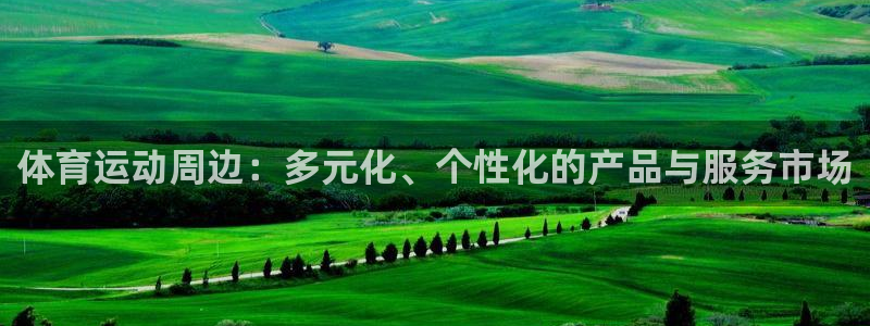 三亿体育
