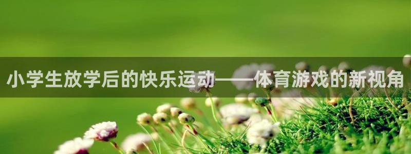 三亿体育网页版