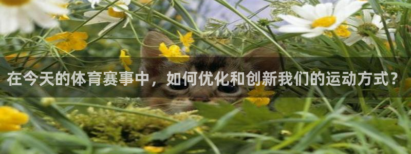 三亿体育登录