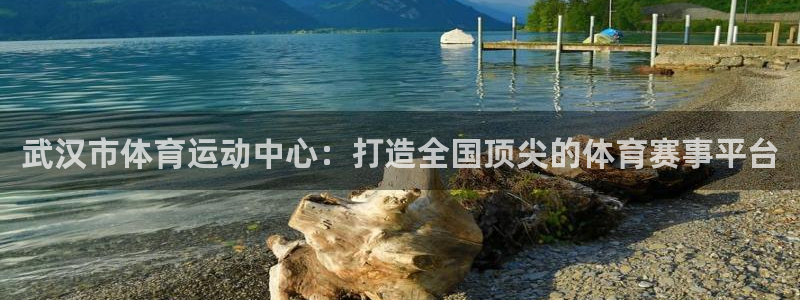 三亿体育登录